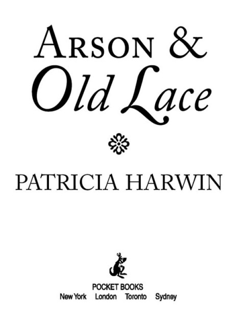 Cover image for book Arson and Old Lace