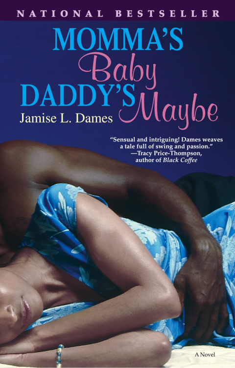 Cover image for book Momma's Baby, Daddy's Maybe