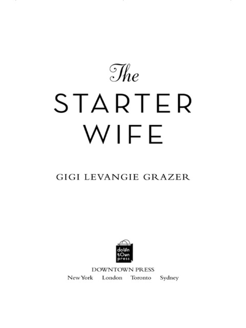 Cover image for book The Starter Wife