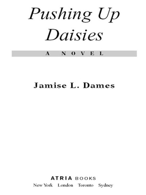 Cover image for book Pushing Up Daisies