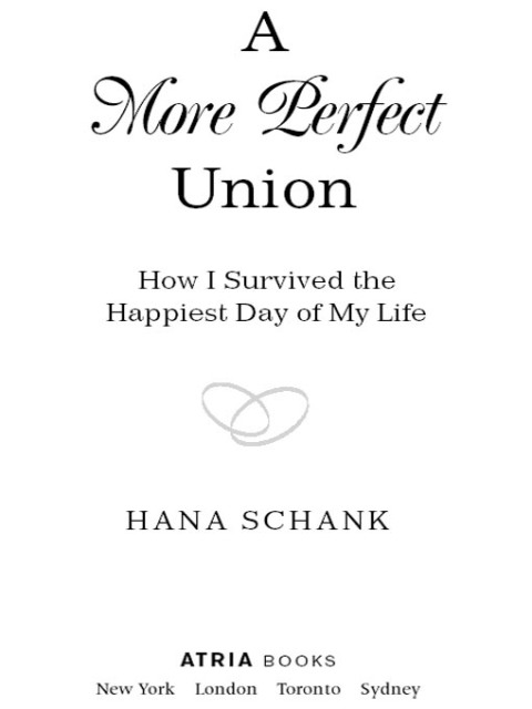 Cover image for book A More Perfect Union