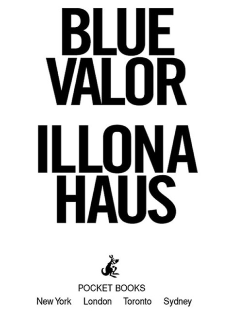 Cover image for book Blue Valor