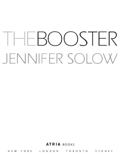 Cover image for book The Booster