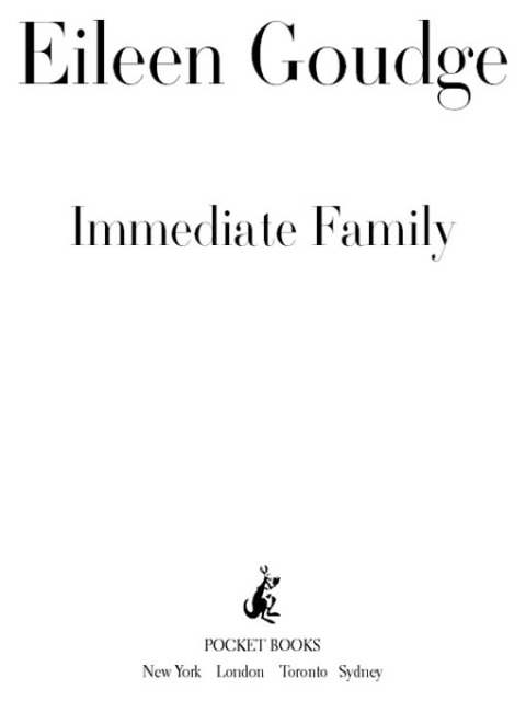 Cover image for book Immediate Family