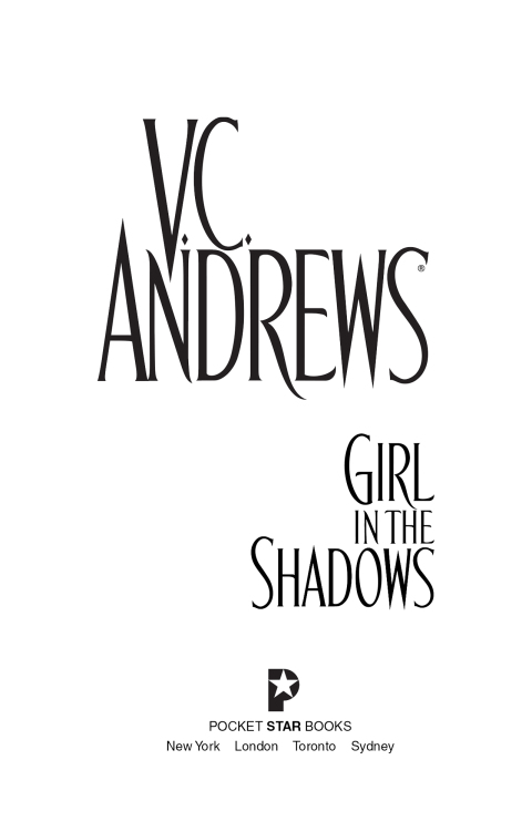Cover image for book Girl in the Shadows