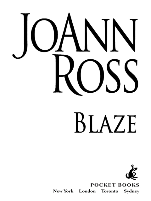 Cover image for book Blaze