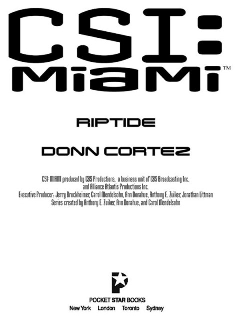 Cover image for book Riptide