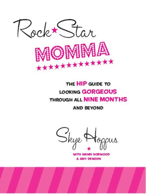 Cover image for book Rock Star Momma