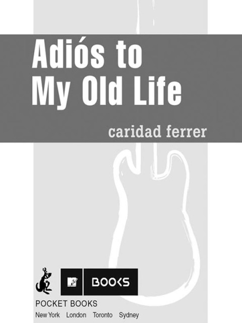 Cover image for book Adios to My Old Life