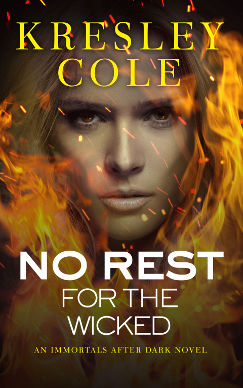 Cover image for book No Rest for the Wicked
