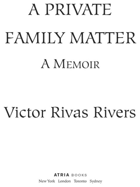 Cover image for book A Private Family Matter