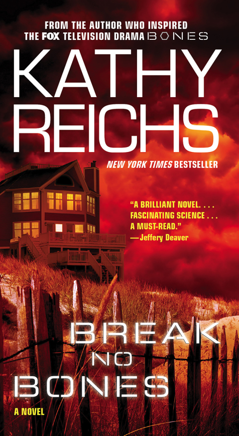 Cover image for book Break No Bones
