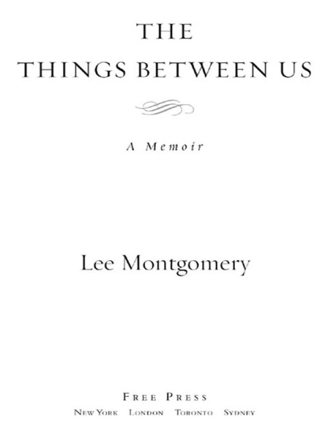 Cover image for book The Things Between Us
