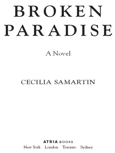 Cover image for book Broken Paradise