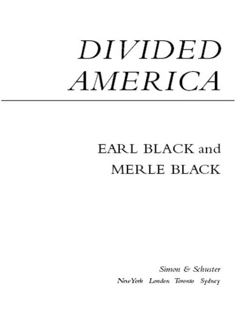 Cover image for book Divided America