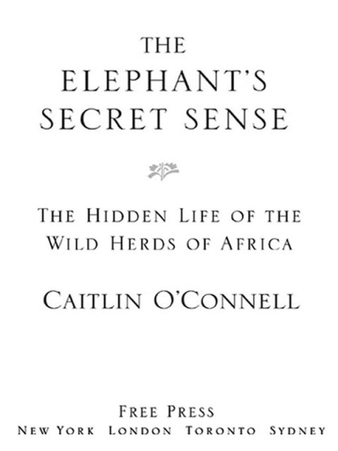 Cover image for book The Elephant's Secret Sense