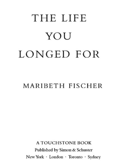 Cover image for book The Life You Longed For