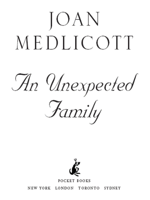 Cover image for book An Unexpected Family