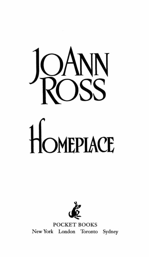 Cover image for book Homeplace