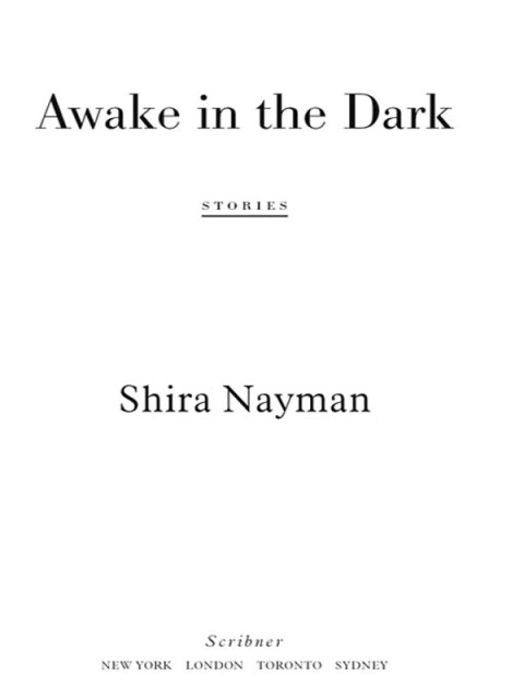 Cover image for book Awake in the Dark