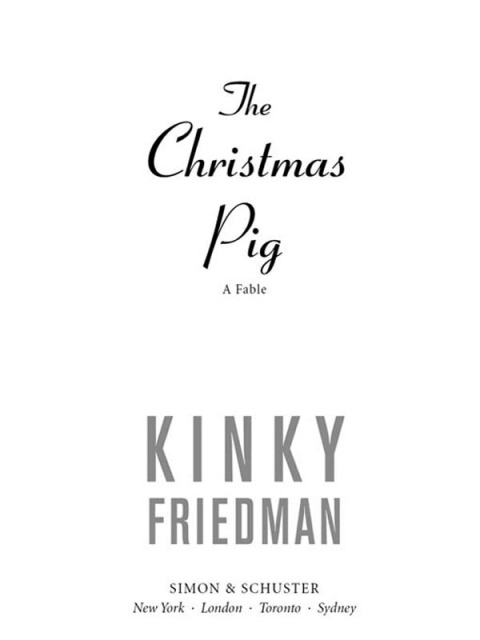 Cover image for book The Christmas Pig