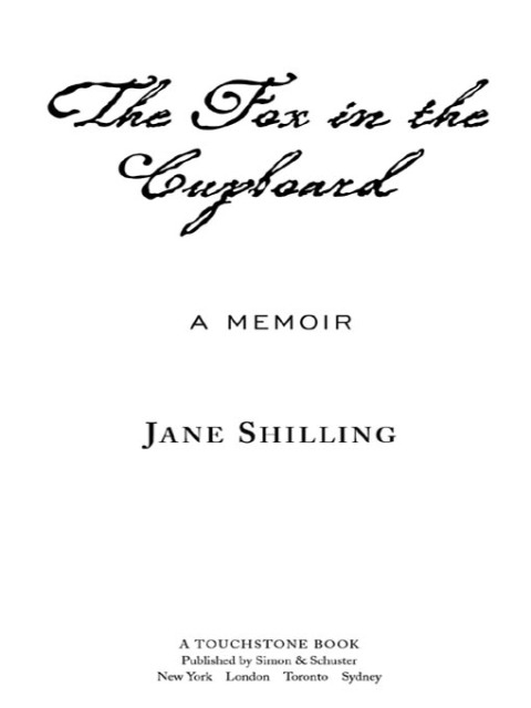 Cover image for book The Fox In the Cupboard