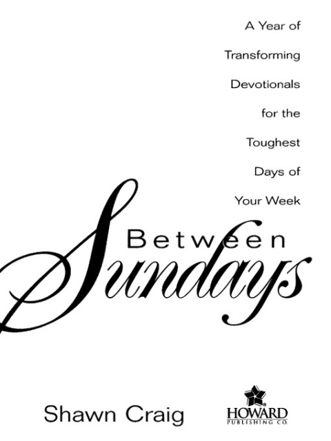 Cover image for book Between Sundays