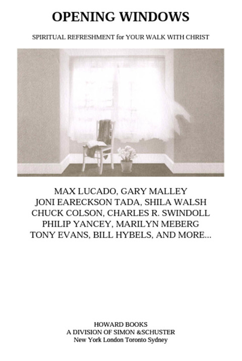 Cover image for book Opening Windows