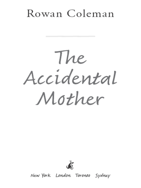 Cover image for book The Accidental Mother