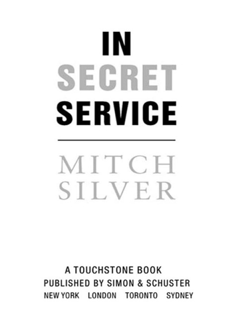 Cover image for book In Secret Service