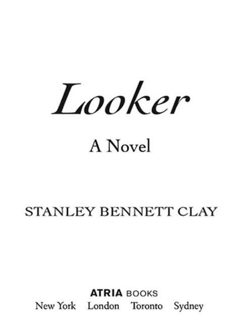 Cover image for book Looker