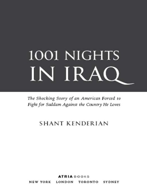 Cover image for book 1001 Nights in Iraq