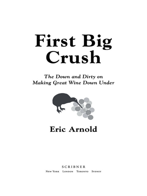 Cover image for book First Big Crush