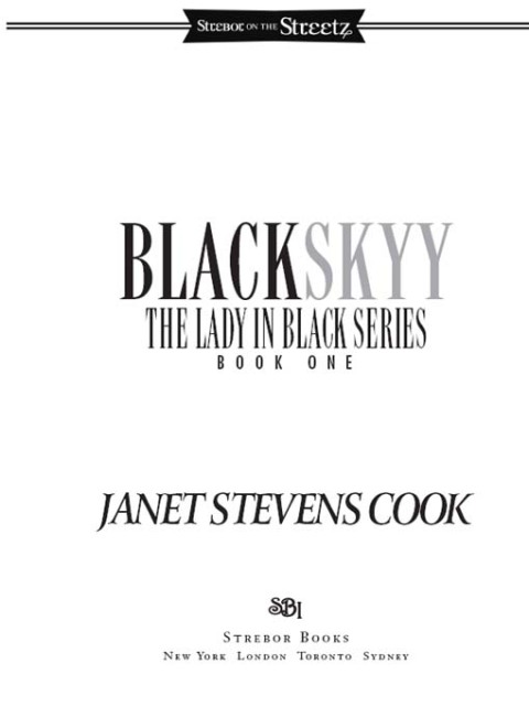 Cover image for book Black Skyy