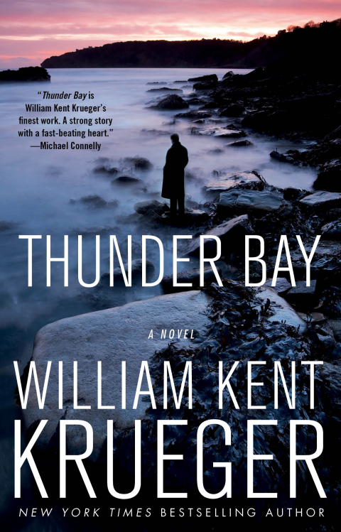Cover image for book Thunder Bay