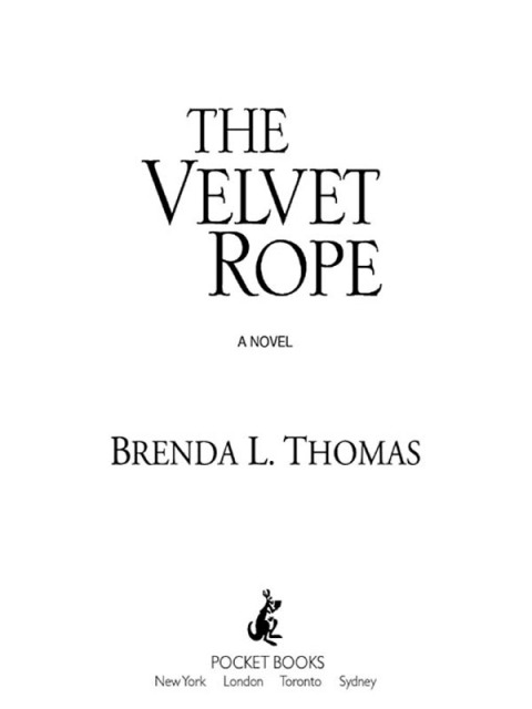 Cover image for book The Velvet Rope