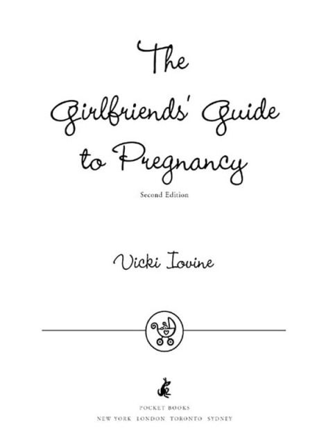 Cover image for book The Girlfriends' Guide to Pregnancy