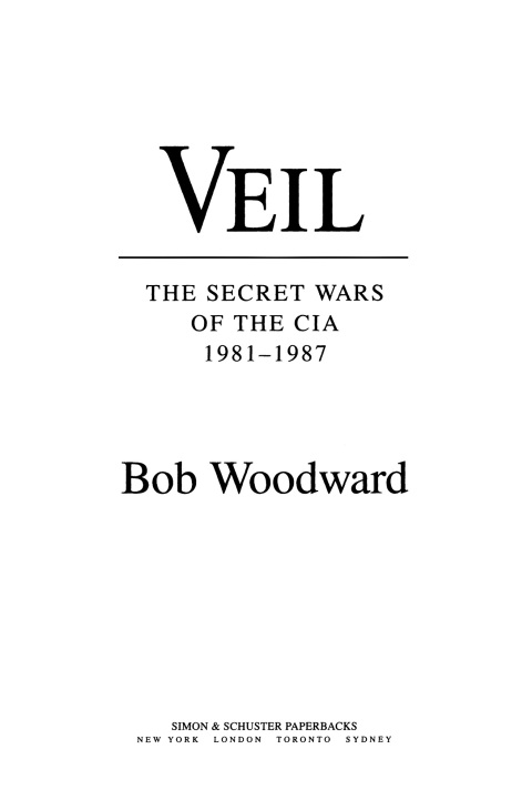 Cover image for book Veil