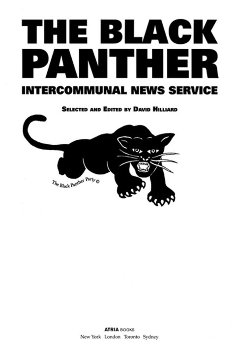 Cover image for book The Black Panther