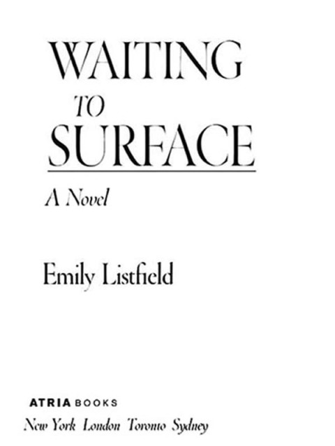 Cover image for book Waiting to Surface