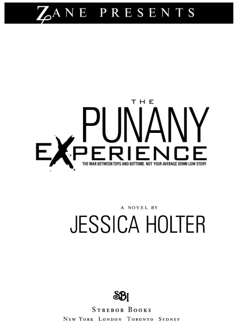 Cover image for book The Punany Experience
