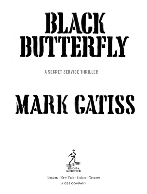 Cover image for book Black Butterfly