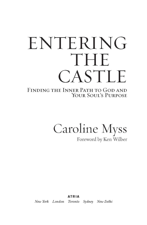 Cover image for book Entering the Castle