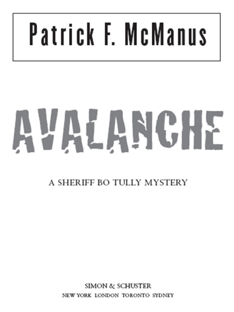 Cover image for book Avalanche