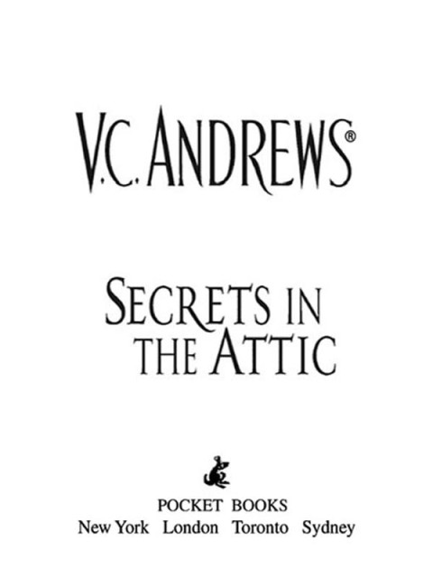 Cover image for book Secrets in the Attic