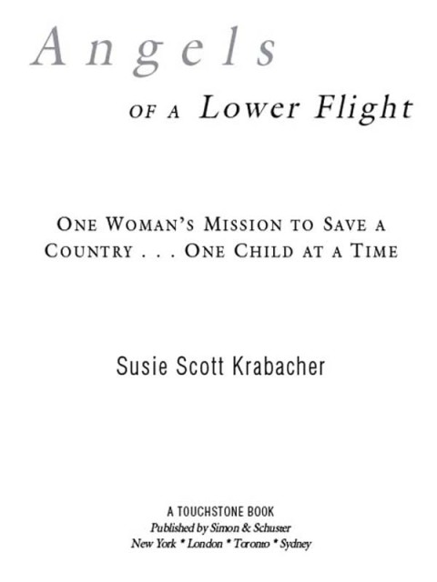 Cover image for book Angels of a Lower Flight