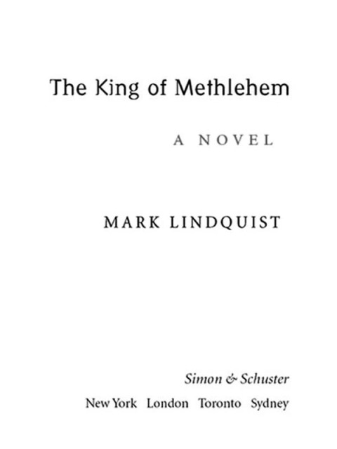Cover image for book The King of Methlehem