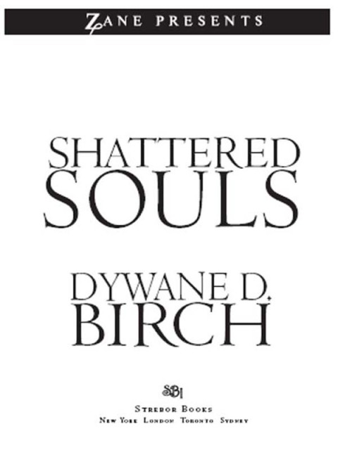 Cover image for book Shattered Souls