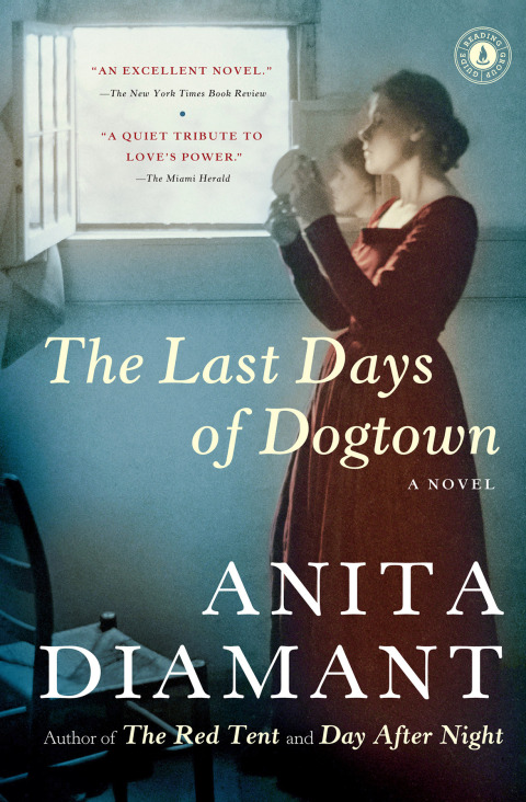 Cover image for book The Last Days of Dogtown
