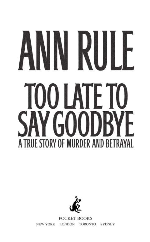 Cover image for book Too Late to Say Goodbye